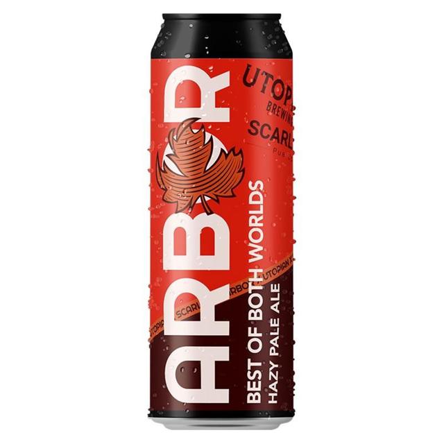 Best of Both Worlds beer artwork