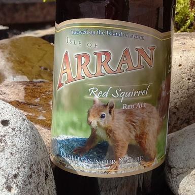 Red Squirrel beer artwork