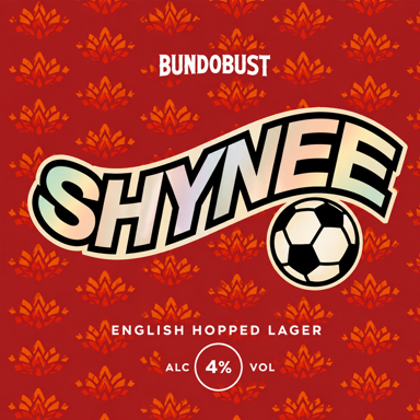 Shynee beer artwork