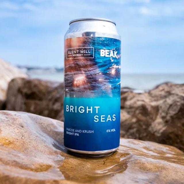 Bright Seas beer artwork