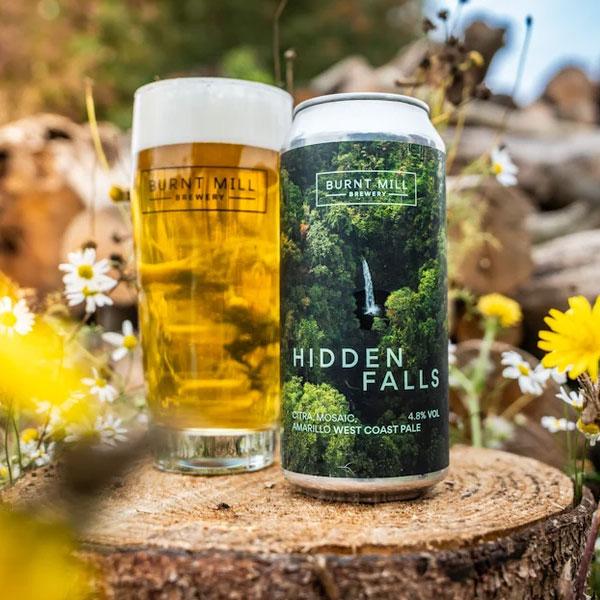 Artwork for Hidden Falls by Burnt Mill Brewery