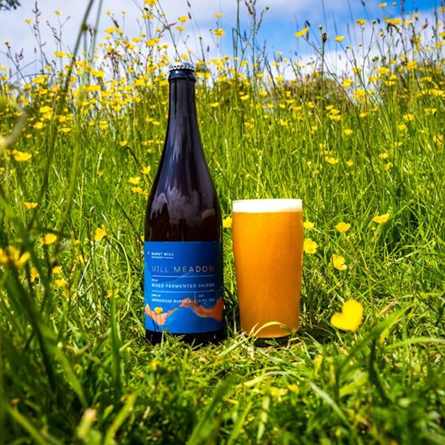 Mill Meadow beer artwork