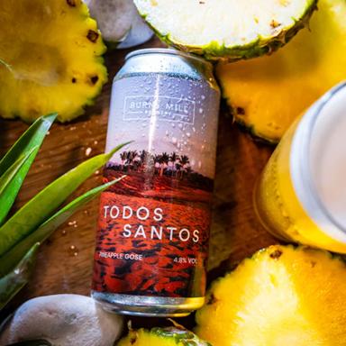 Todos Santos beer artwork