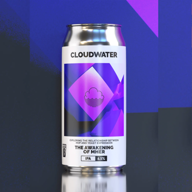 The Awakening Of Mher beer artwork