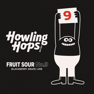 Fruit Sour No. 9 beer artwork