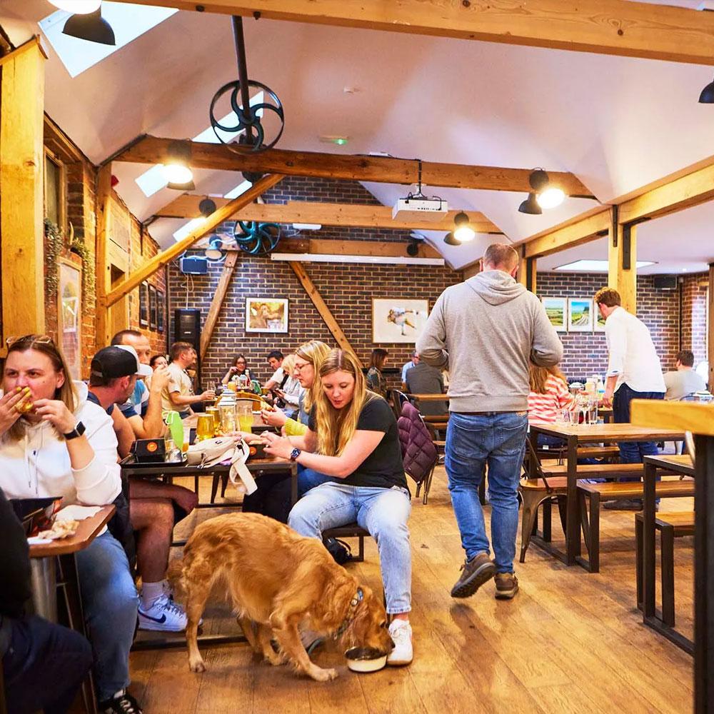 Missing Link Brewing taproom