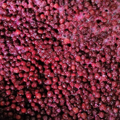 Chuckleberry Sour beer artwork