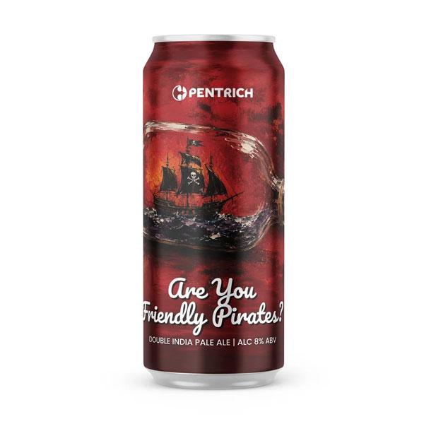 Artwork for Are You Friendly Pirates? by Pentrich Brewing