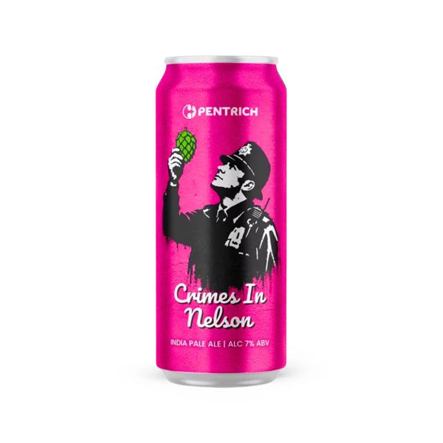 Crimes In Nelson beer artwork