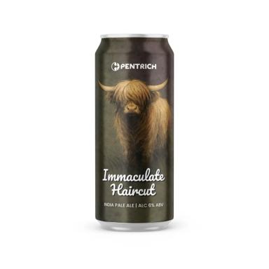 Immaculate Haircut beer artwork