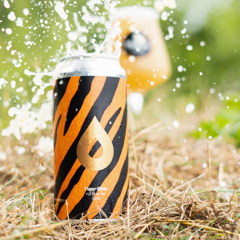 Artwork for Tiger Bliss by Polly's Brew Co