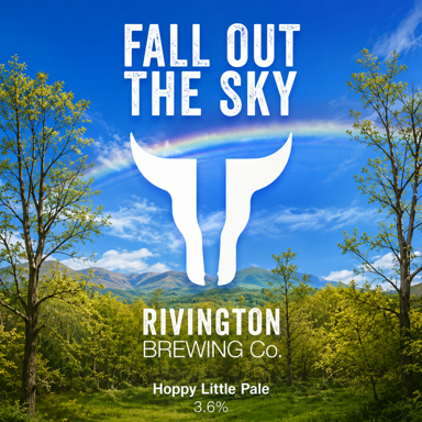 Fall Out The Sky beer artwork