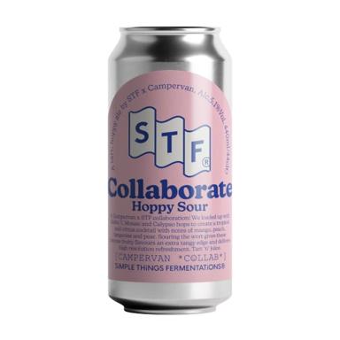 STF x Campervan Hoppy Sour beer artwork