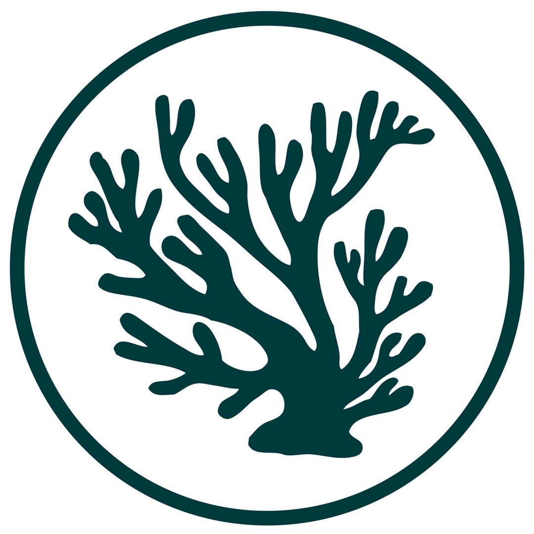 Stinky Bay Brewing Co. logo
