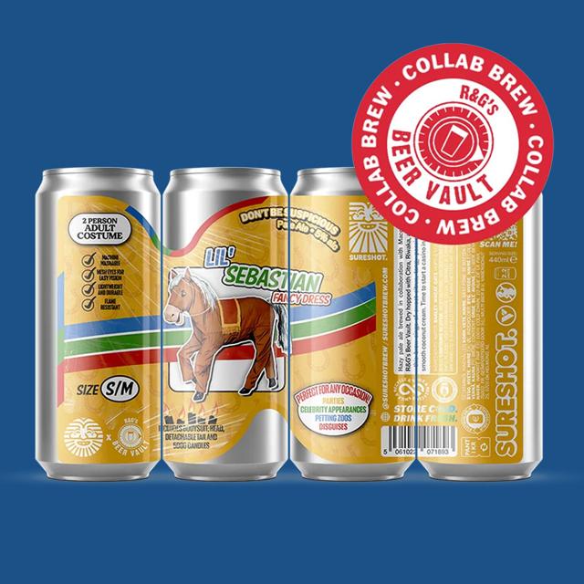 Don't Be Suspicious beer artwork