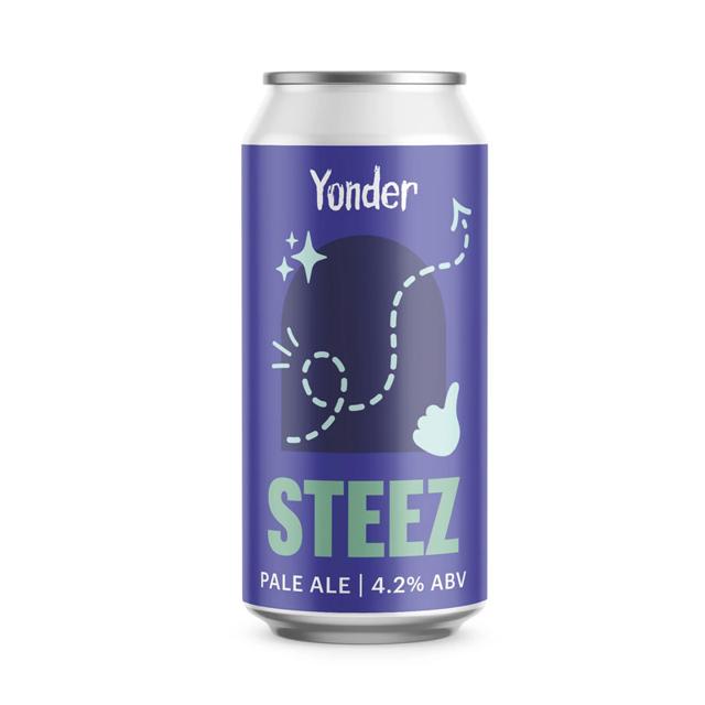 Steez beer artwork
