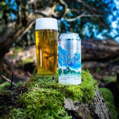 Beyond The Firs beer artwork