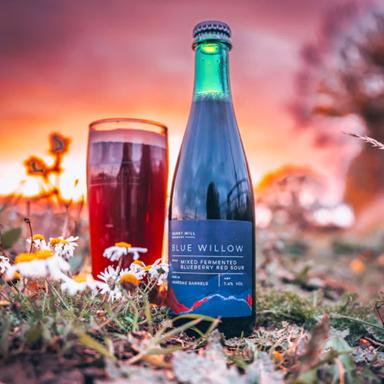 Blue Willow beer artwork