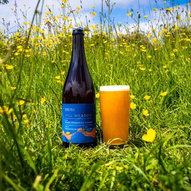Mill Meadow beer artwork