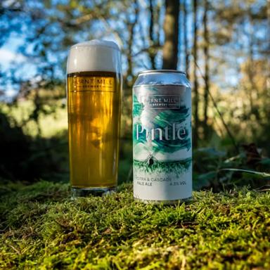 Pintle beer artwork