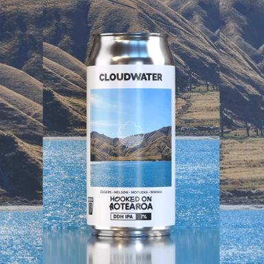 Hooked On Aotearoa beer artwork