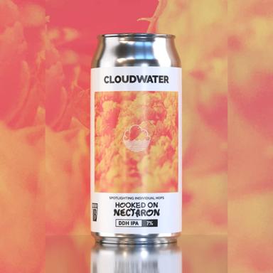 Hooked On Nectaron beer artwork