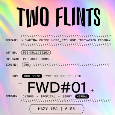 FWD #1 beer artwork