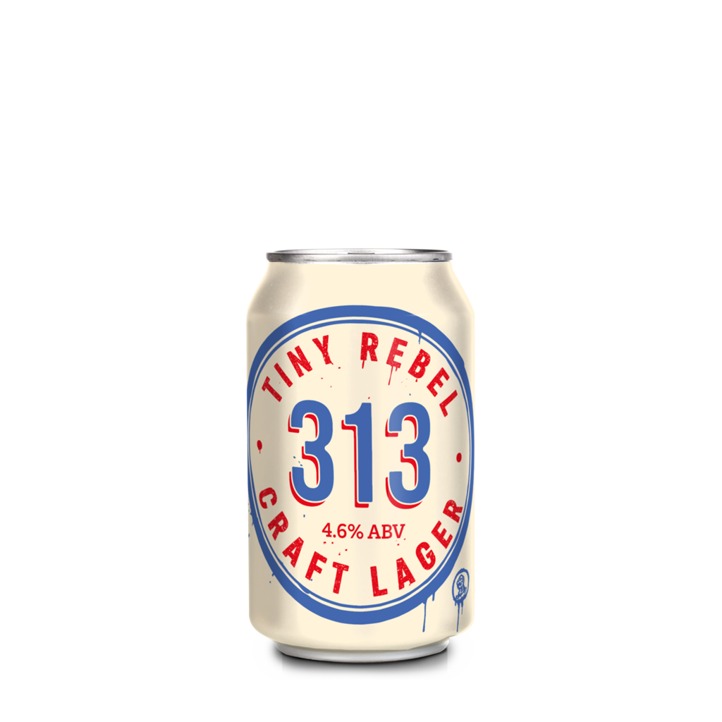 313 Craft Lager can