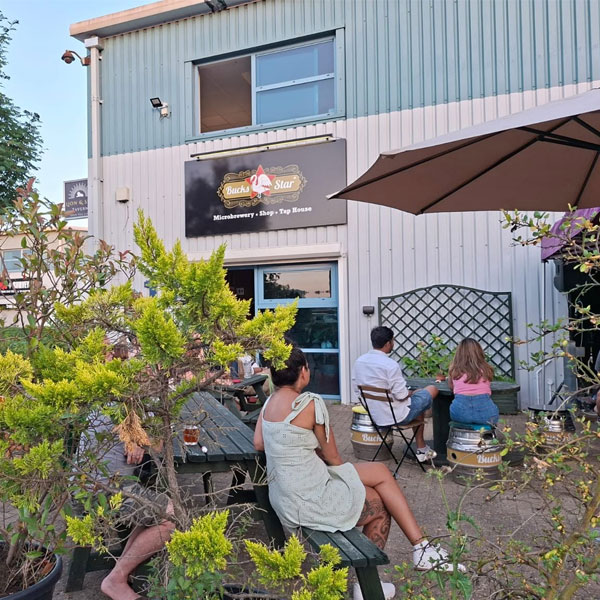 Lion & Sun Tavern taproom