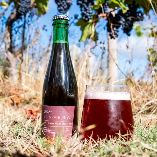 Artwork for Vinifera by Burnt Mill Brewery