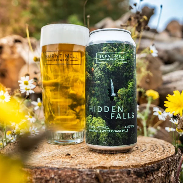Hidden Falls beer artwork