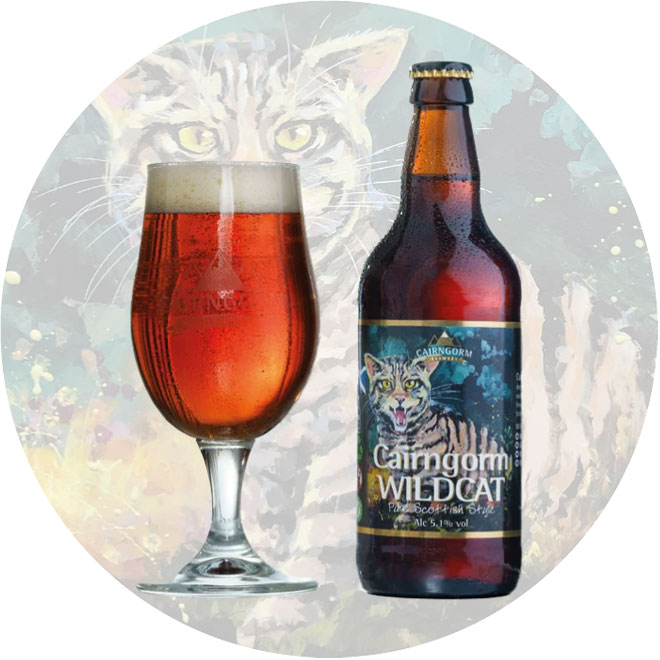 Wildcat beer artwork