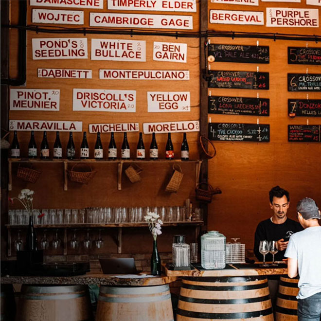 Crossover Blendery Taproom taproom