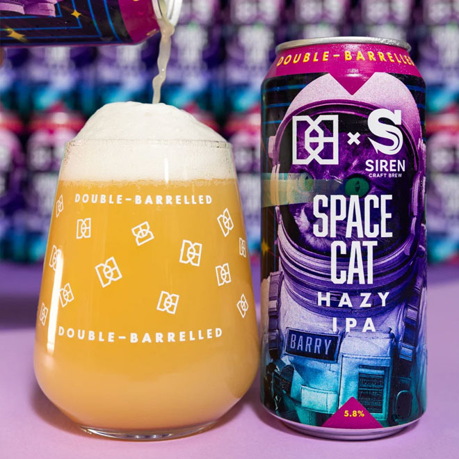 Space Cat beer artwork