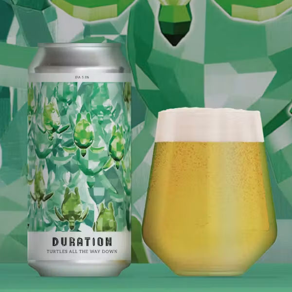 Artwork for Turtles All The Way Down by Duration Brewing