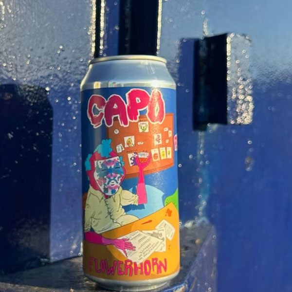 Capo beer artwork