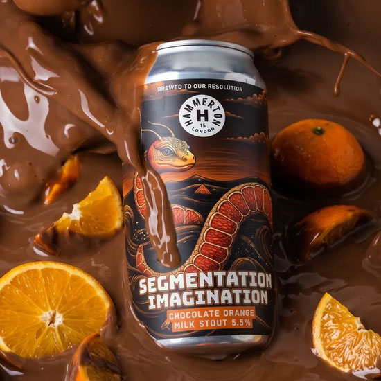 Artwork for Segmentation Imagination by Hammerton Brewery