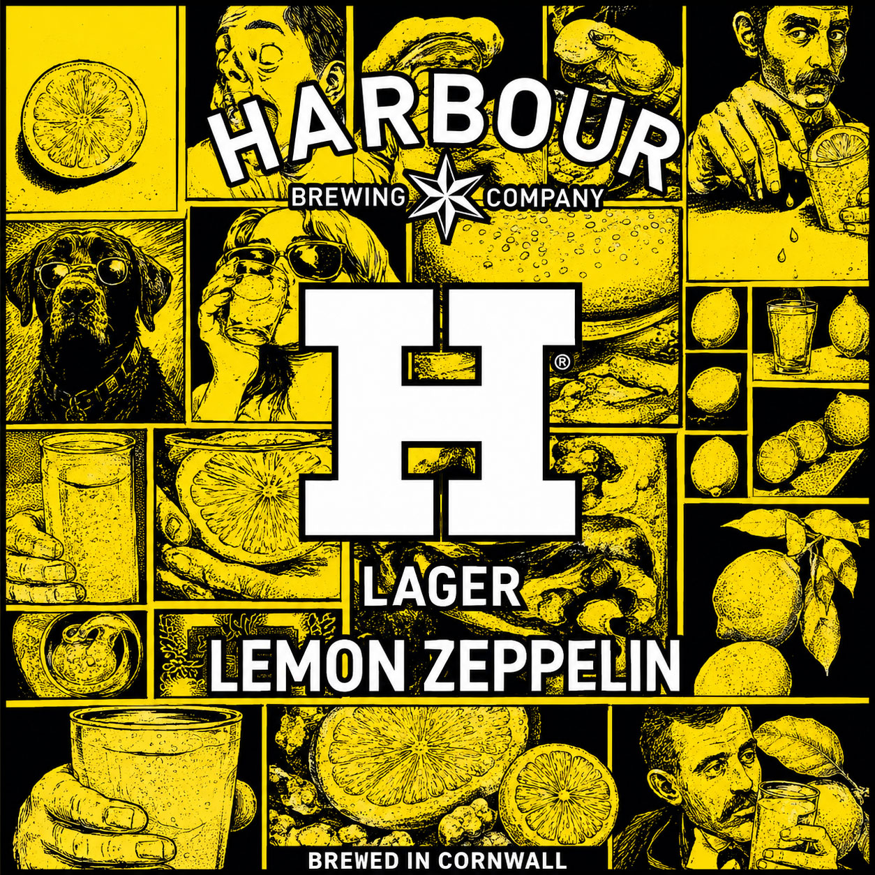 Lemon Zeppelin beer artwork