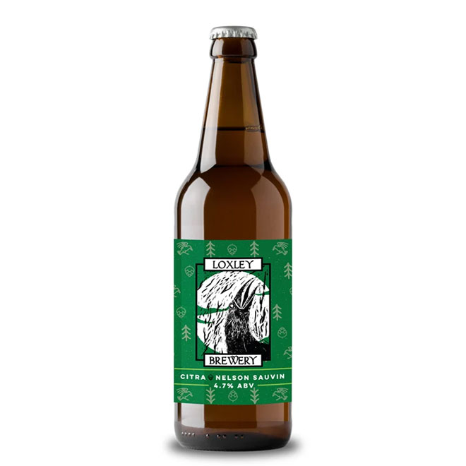 Pale Ale (Vol.1) beer artwork