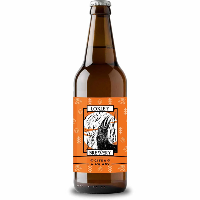 Pale Ale (Vol.3) beer artwork