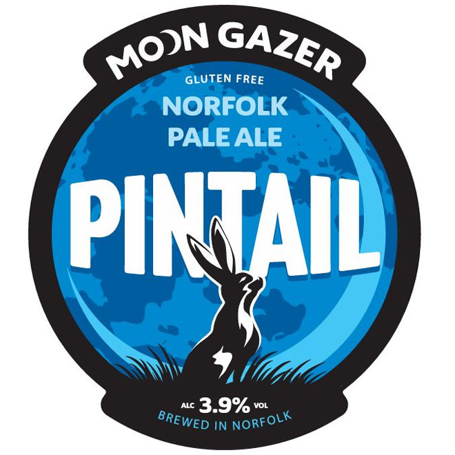 Pintail beer artwork
