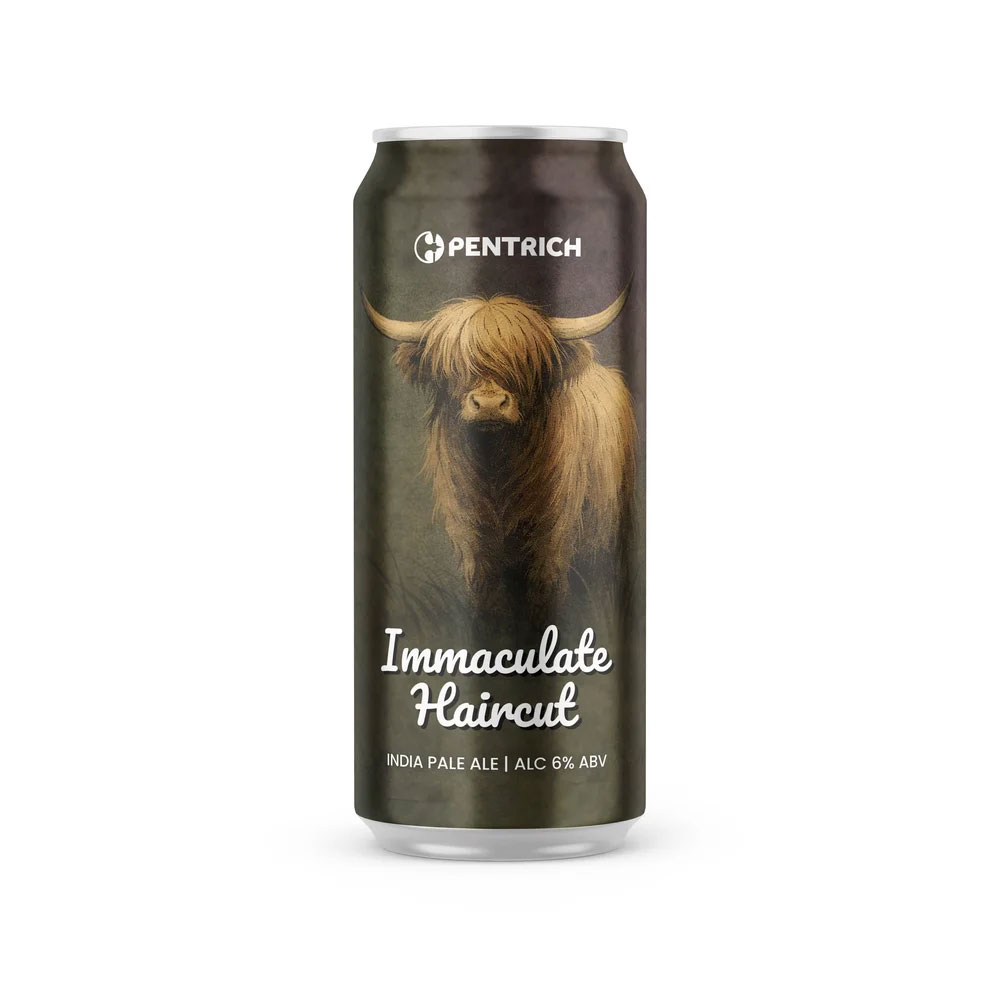 Immaculate Haircut beer artwork