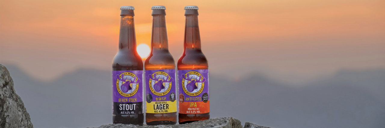 Purple Moose Brewery brewery