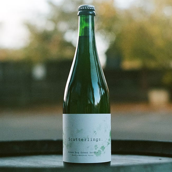 Green Hop Green Bottle beer artwork