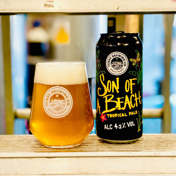 Son of a Beach beer artwork