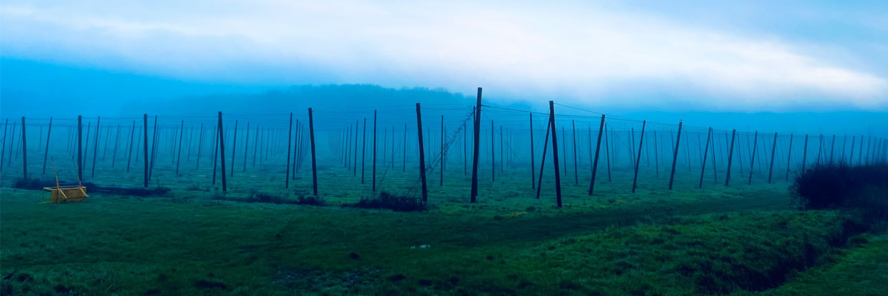 Terra Tempo Brewing brewery