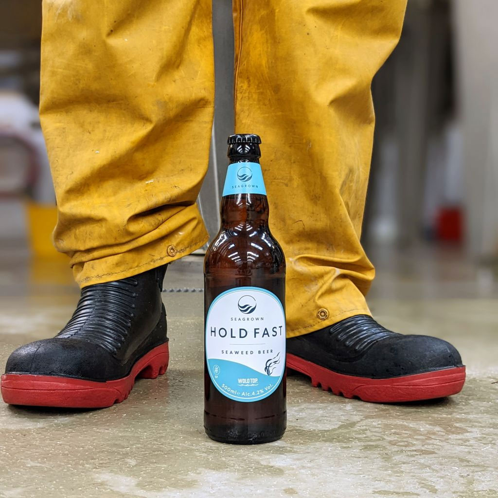 Hold Fast beer artwork