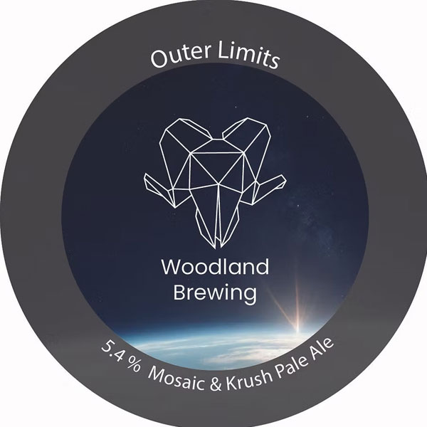 Outer Limits beer artwork
